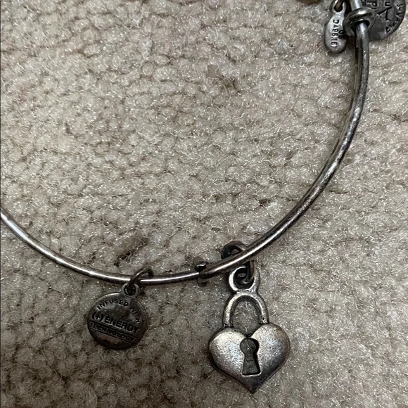 14 Alex and Ani assortment Stack of Mixed Metal Charm Bangle Bracelets - Picture 9 of 15